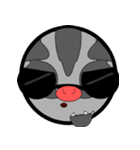 Classic Grey Sugar Glider Emoticon（個別スタンプ：11）