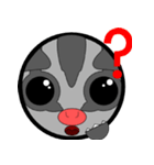 Classic Grey Sugar Glider Emoticon（個別スタンプ：14）