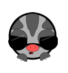 Classic Grey Sugar Glider Emoticon（個別スタンプ：16）