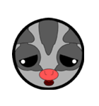 Classic Grey Sugar Glider Emoticon（個別スタンプ：19）