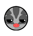 Classic Grey Sugar Glider Emoticon（個別スタンプ：20）