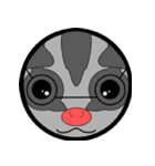 Classic Grey Sugar Glider Emoticon（個別スタンプ：23）