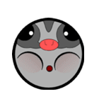 Classic Grey Sugar Glider Emoticon（個別スタンプ：26）