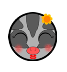 Classic Grey Sugar Glider Emoticon（個別スタンプ：28）