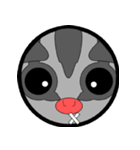 Classic Grey Sugar Glider Emoticon（個別スタンプ：34）