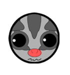 Classic Grey Sugar Glider Emoticon（個別スタンプ：35）