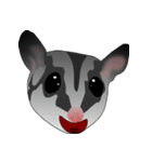 Classic Grey Sugar Glider Emoticon（個別スタンプ：37）