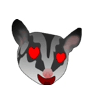 Classic Grey Sugar Glider Emoticon（個別スタンプ：40）