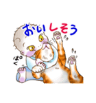 赤ちゃんと猫（個別スタンプ：8）