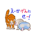 赤ちゃんと猫（個別スタンプ：10）