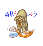 赤ちゃんと猫（個別スタンプ：13）