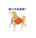 柴犬ちゅばるん（個別スタンプ：22）