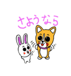 スマイル！コーギー犬とウサギさん。（個別スタンプ：11）