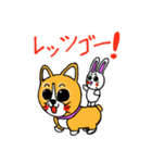 スマイル！コーギー犬とウサギさん。（個別スタンプ：16）