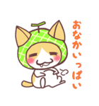 メロン猫（個別スタンプ：5）