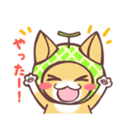 メロン猫（個別スタンプ：9）