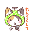 メロン猫（個別スタンプ：13）