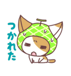 メロン猫（個別スタンプ：28）