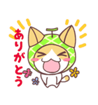 メロン猫（個別スタンプ：30）