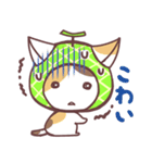 メロン猫（個別スタンプ：33）