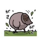 キジバトくん（個別スタンプ：13）