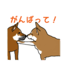 柴犬クマと愉快な仲間達（個別スタンプ：9）