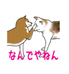 柴犬クマと愉快な仲間達（個別スタンプ：35）