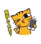 かわいい猫のひと言スタンプ（個別スタンプ：12）