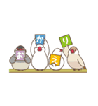 その名は文鳥（個別スタンプ：40）