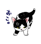 白黒こねこず（個別スタンプ：6）