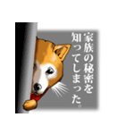 赤マフラー柴犬。（個別スタンプ：28）