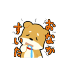 柴犬ワンコ！（個別スタンプ：17）