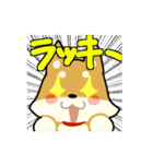 柴犬ワンコ！（個別スタンプ：20）