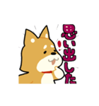 柴犬ワンコ！（個別スタンプ：26）