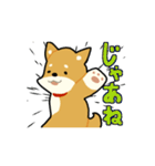 柴犬ワンコ！（個別スタンプ：39）