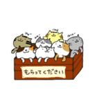 ほんわかねこ日和（個別スタンプ：9）