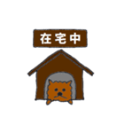 お茶目なトイプードル犬（個別スタンプ：21）