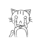 Neko Amy（個別スタンプ：13）