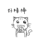 Neko Amy（個別スタンプ：19）