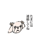 専務の犬（個別スタンプ：9）