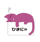 猫に付箋（個別スタンプ：9）