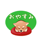 豆柴わんこ（個別スタンプ：6）