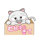 ねこのロジャー2（個別スタンプ：9）