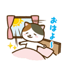 九州のにゃんこ（個別スタンプ：1）