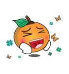 Little Orange Cute（個別スタンプ：11）