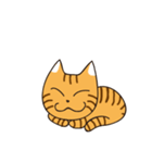 Jiong face Cat（個別スタンプ：21）