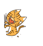 Jiong face Cat（個別スタンプ：37）