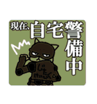 Net slang due to the Eyebrows cat（個別スタンプ：16）