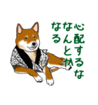 イケメン柴犬モモと愉快な仲間達（個別スタンプ：37）