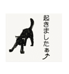 猫ねこネコcat lovers（個別スタンプ：8）